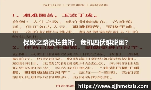 球速体育平台登录入口