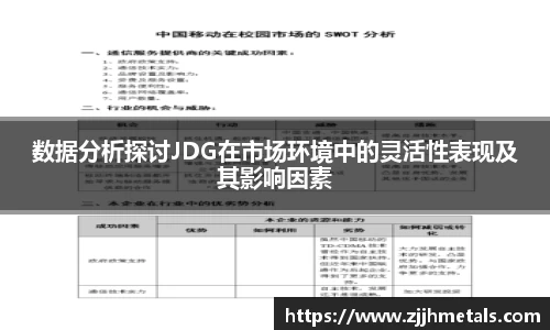 数据分析探讨JDG在市场环境中的灵活性表现及其影响因素