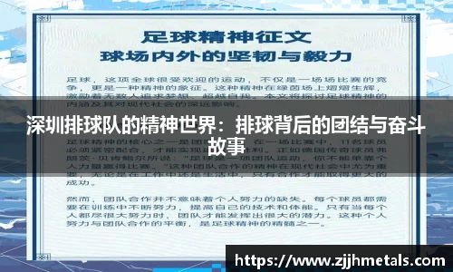 深圳排球队的精神世界：排球背后的团结与奋斗故事