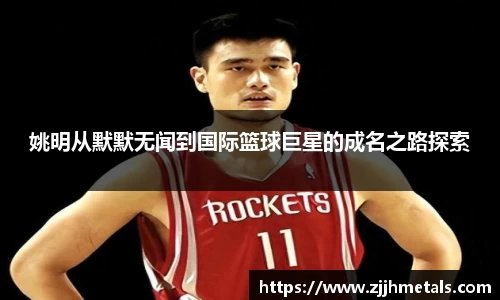 球速体育平台登录入口