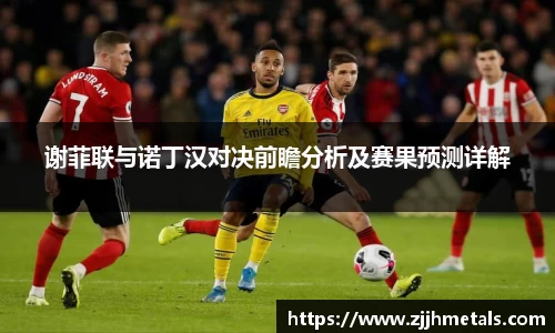 谢菲联与诺丁汉对决前瞻分析及赛果预测详解