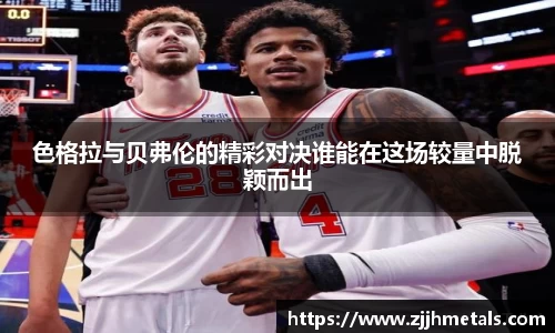 球速体育