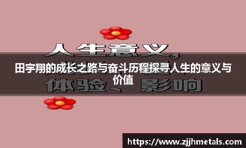 球速体育平台登录入口